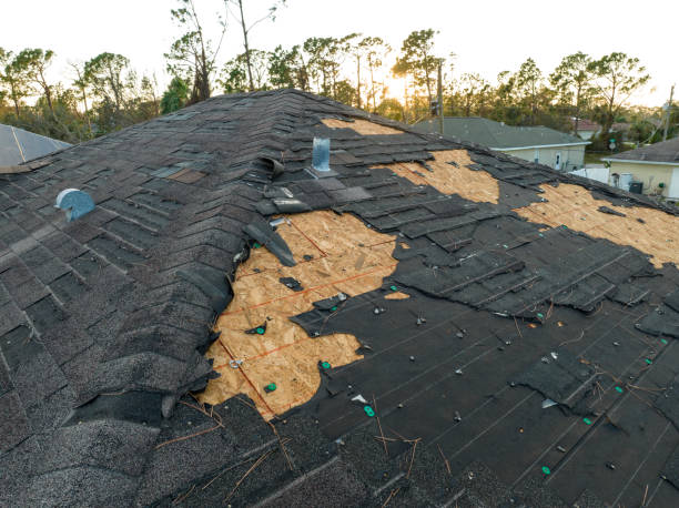 Best Roof Insulation Installation  in New Baden, IL